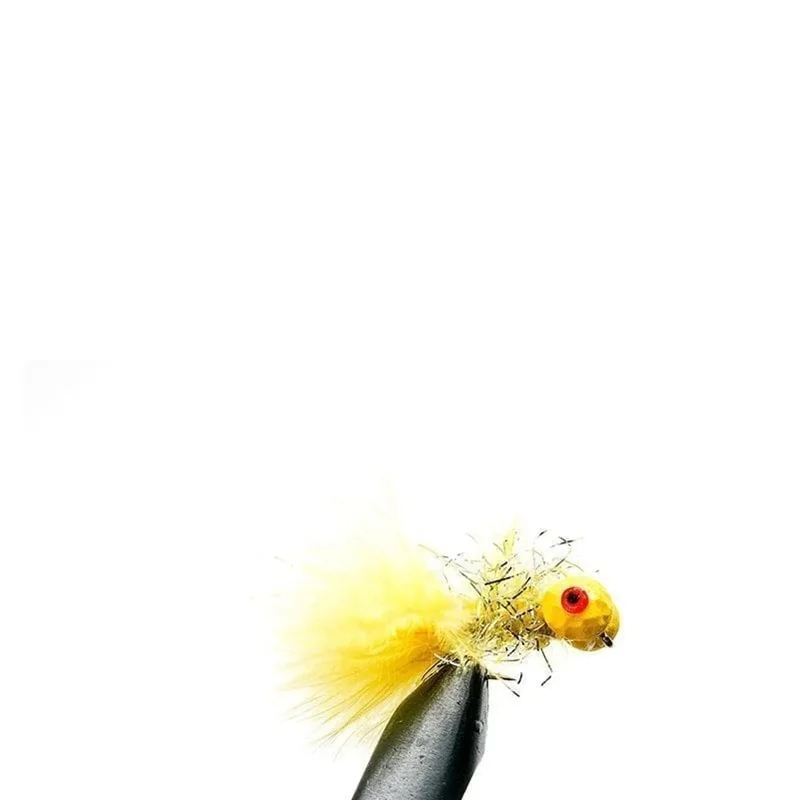2026_06_08_3232978