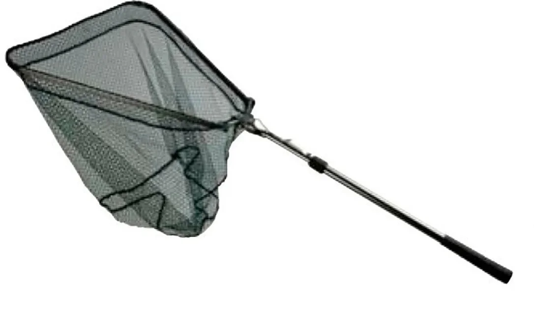 2026_06_08_3251006