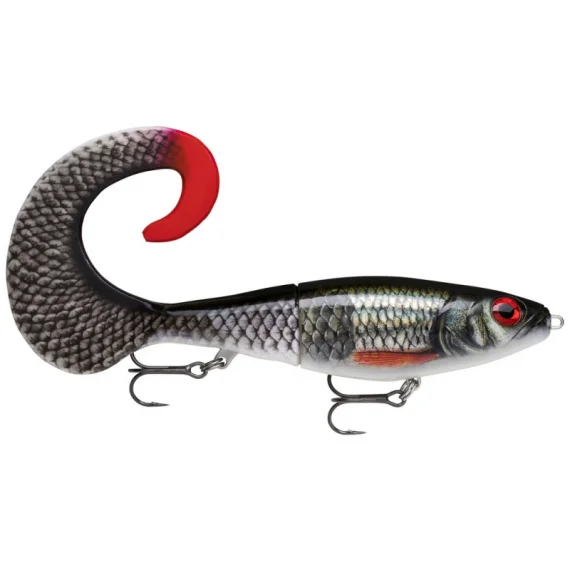 fishline202606081246213253791