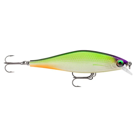 fishline202606081246373253847
