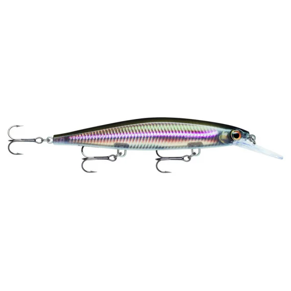 fishline202606081246473253881