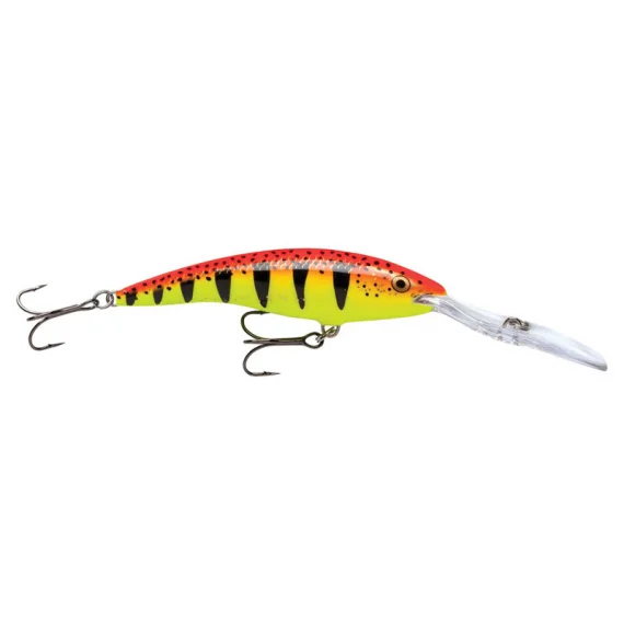 fishline202606081257353256169