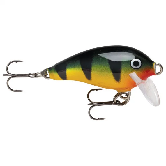 fishline202606081257503256219