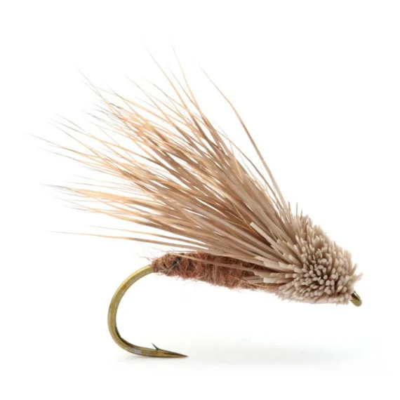 fishline202606081315193259495