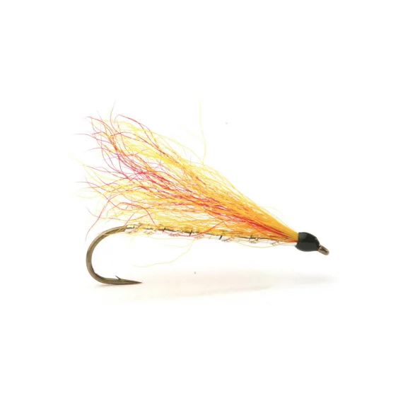 fishline202606081316373259728