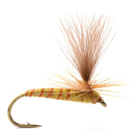 fishline202606081317003259798
