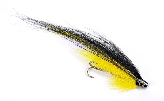 fishline202606081322083260652