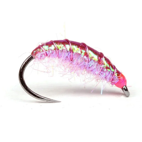 fishline202606081336383263200