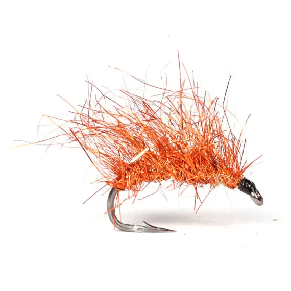 fishline202606081340043263729