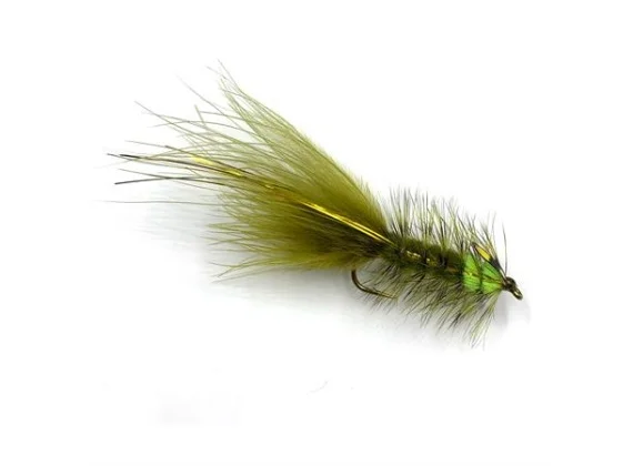 fishline202606081342523264160