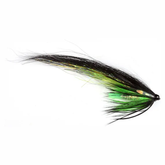 fishline202606081348523265018