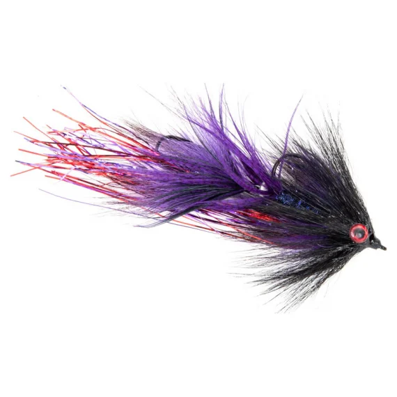 fishline202606081350313265265