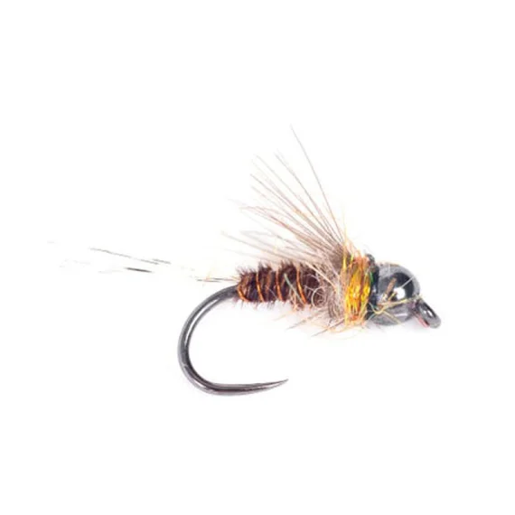 fishline202606081357363266347