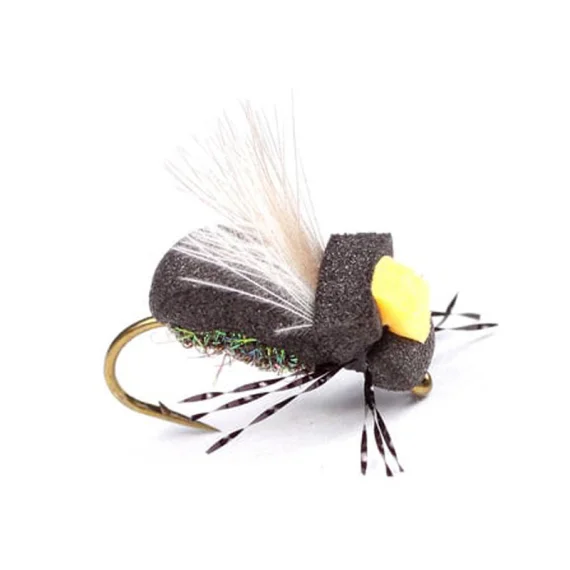 fishline202606081357553266396