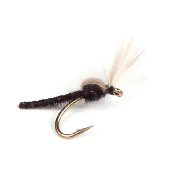 fishline202606081357583266404