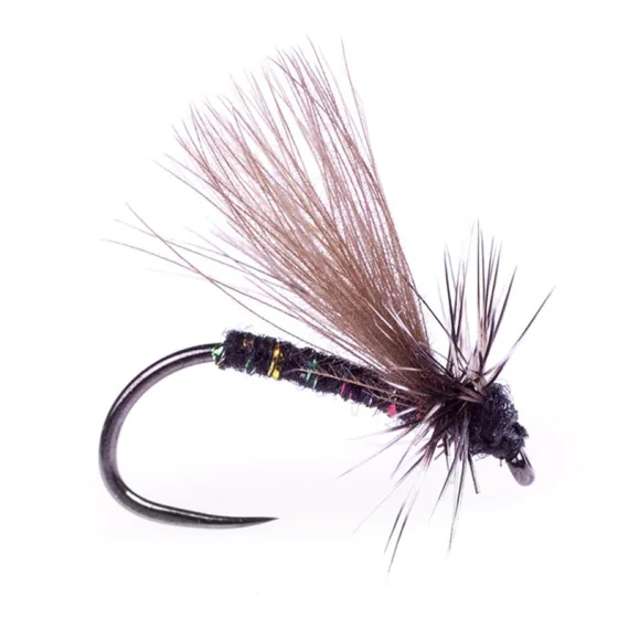 fishline202606081358023266417