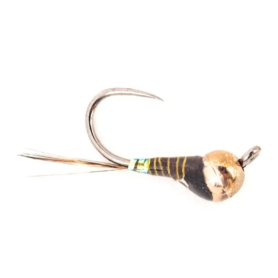 fishline202606081409583268341