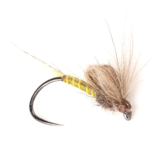 fishline202606081410403268497