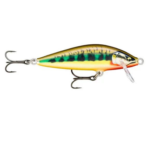 fishline202606081452343278401