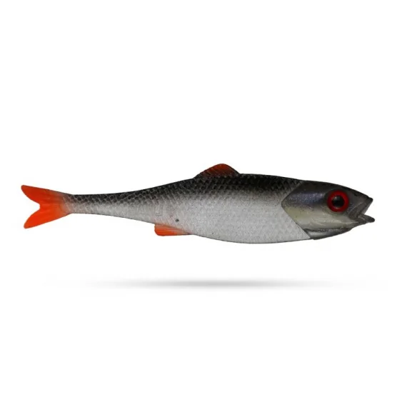 fishline202606081509063281927