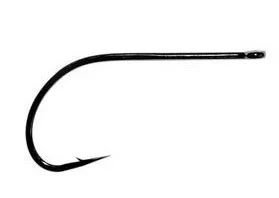 fishline202606081606223294542