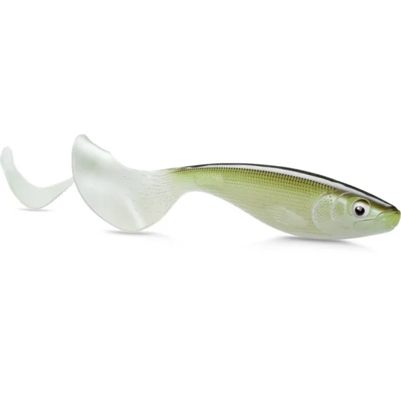 fishline202606081716153296207