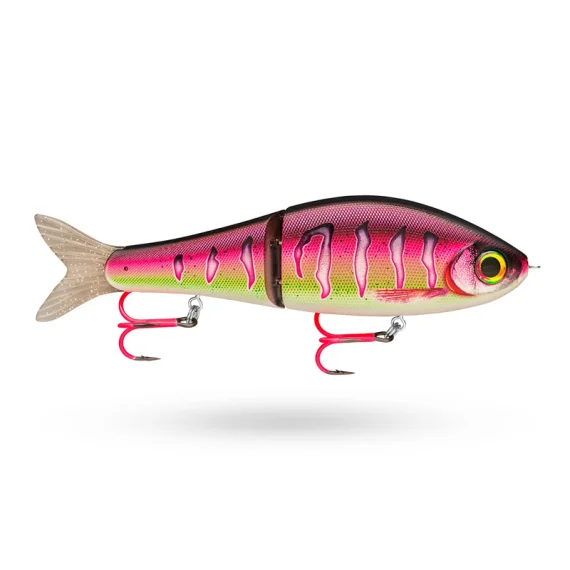 fishline202606081716363296281