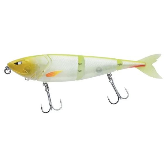 fishline202606081728373298276