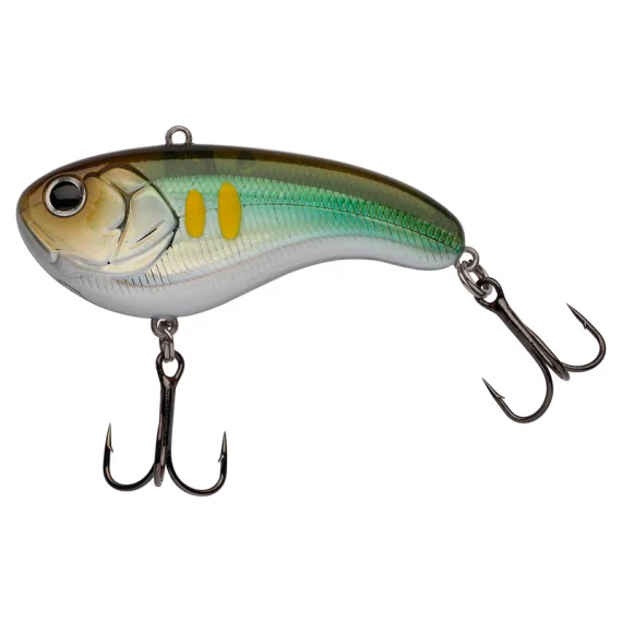 fishline202606081731273298796