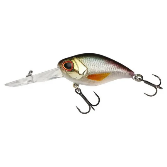 fishline202606081806373306490