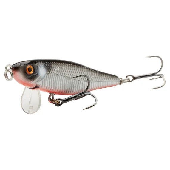 fishline202606081808083306809