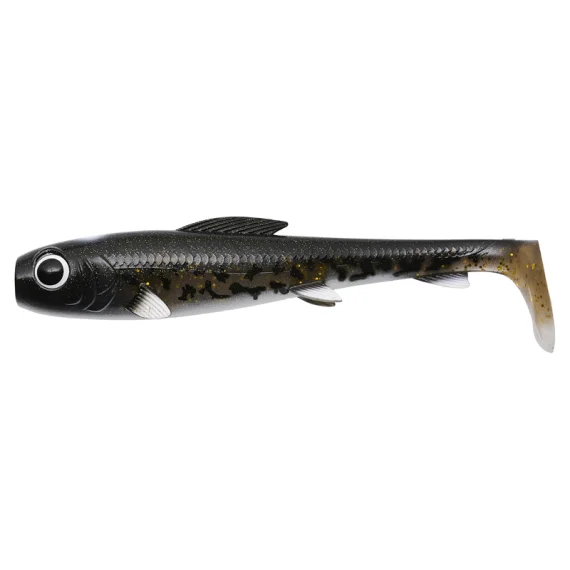 fishline202606081811453307574
