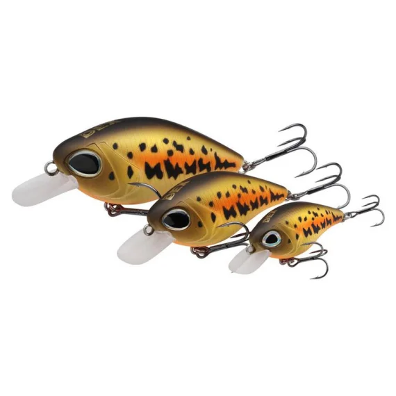 fishline202606081811523307599