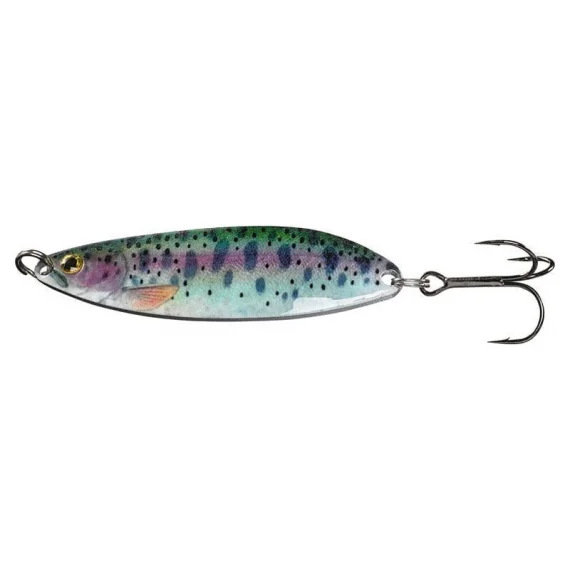 fishline202606081823563310352