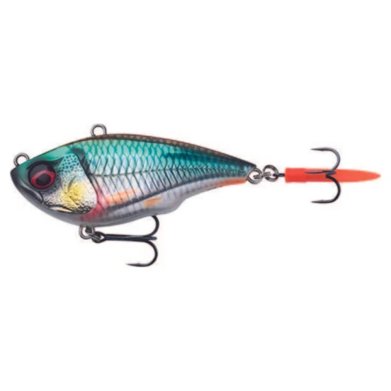 fishline202606081828403311418