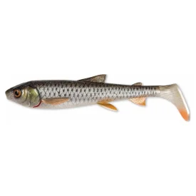 fishline202606081830343311842