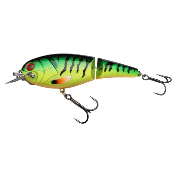 fishline202606081837333313361