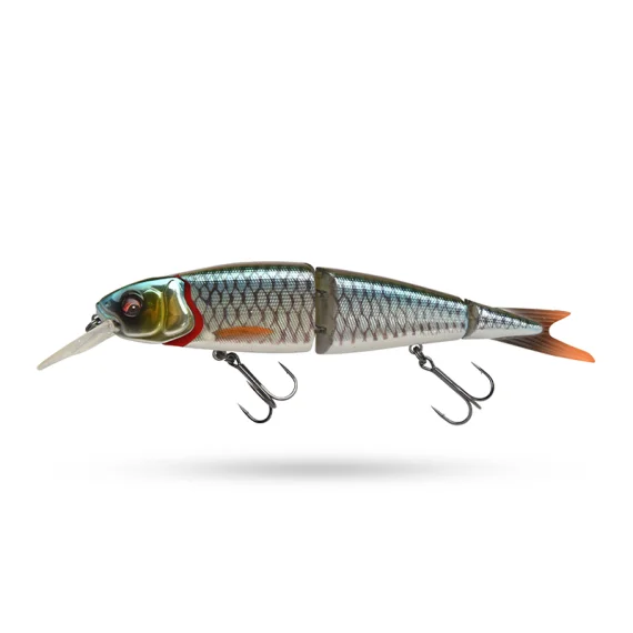 fishline202606081839433313821