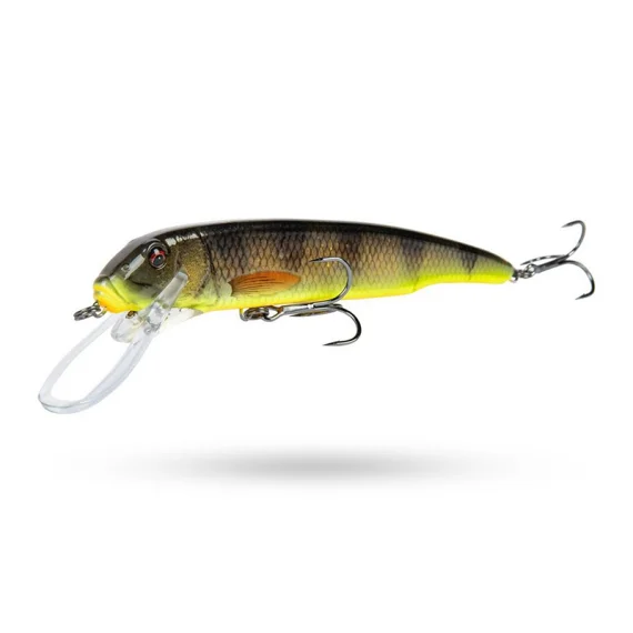 fishline202606081842533314499