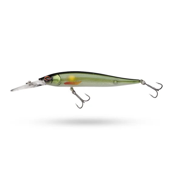 fishline202606081843343314639