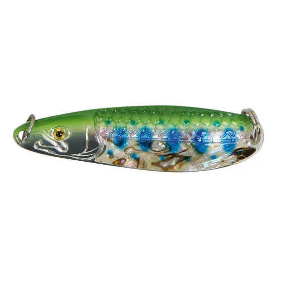 fishline202606081858193317683