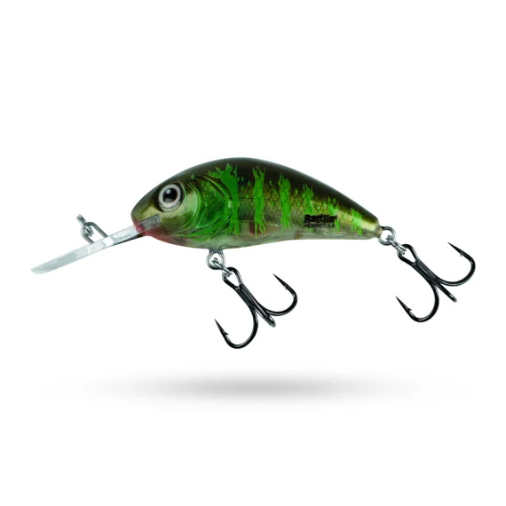 fishline202606081909033319959