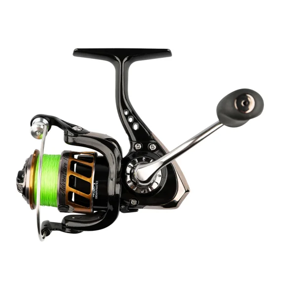 fishline202606081949103328307
