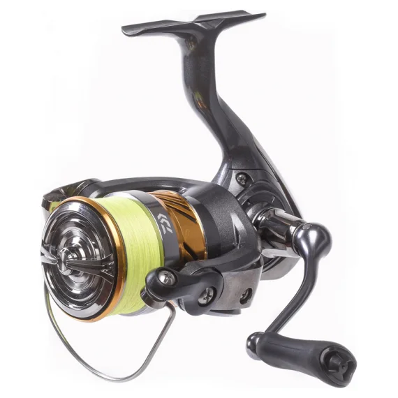 fishline202606082006123330889
