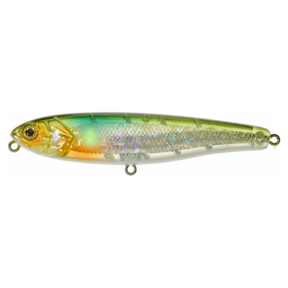 fishline202606082036523335019