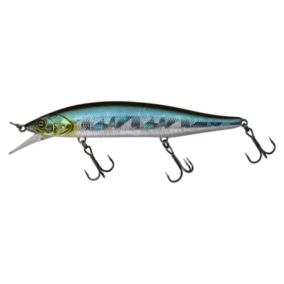 fishline202606082039343335355