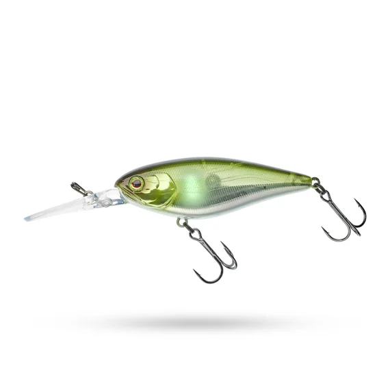fishline202606082040123335439
