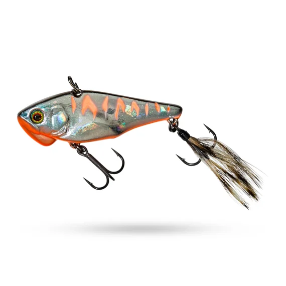 fishline202606082043063335822