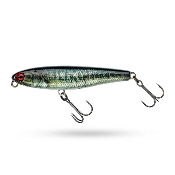 fishline202606082043273335866