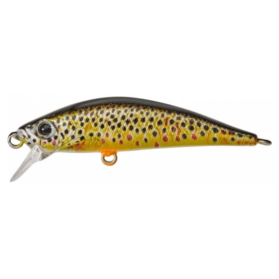 fishline202606082044593336069